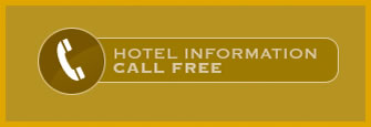 Call Information